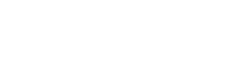 Nectar Interactive Logo